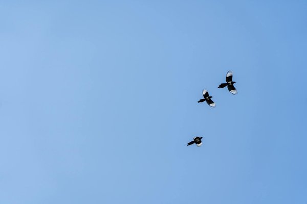 Astuces Essentielles pour Aider les Seniors à Vivre Autonomes chez Eux